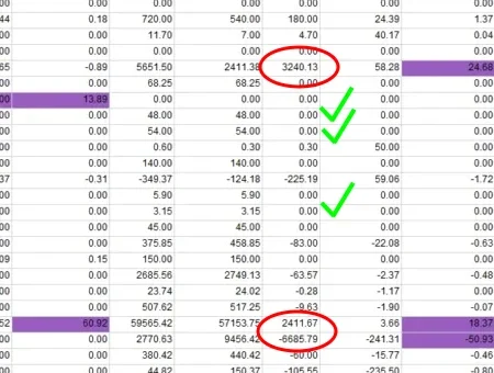 ratingResultsTrimmed-section-drawn parcel shipping invoice rating report